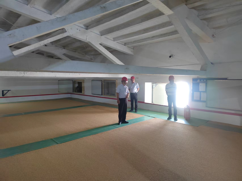 曲阜市發展和改革局積極開展2022年新入庫政策性糧食自查工作