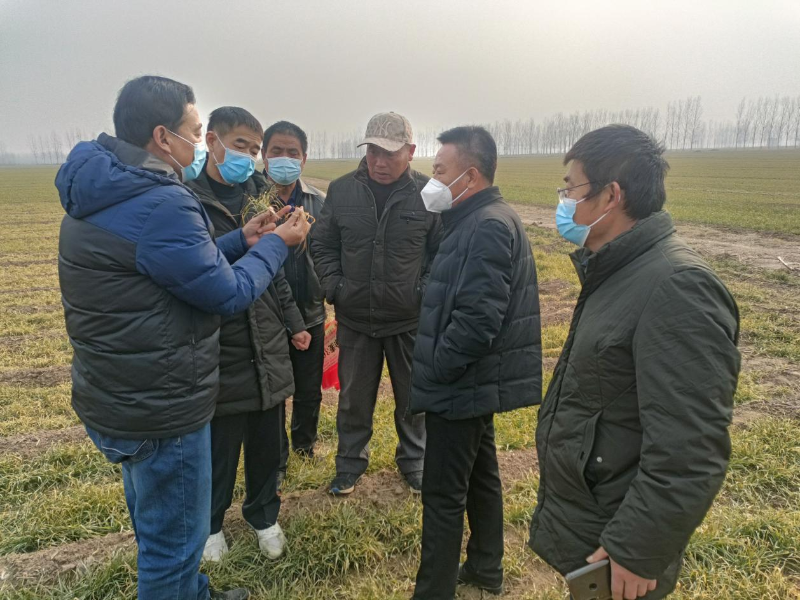 濟寧市第一！曲阜7人獲評省優秀科技特派員稱號